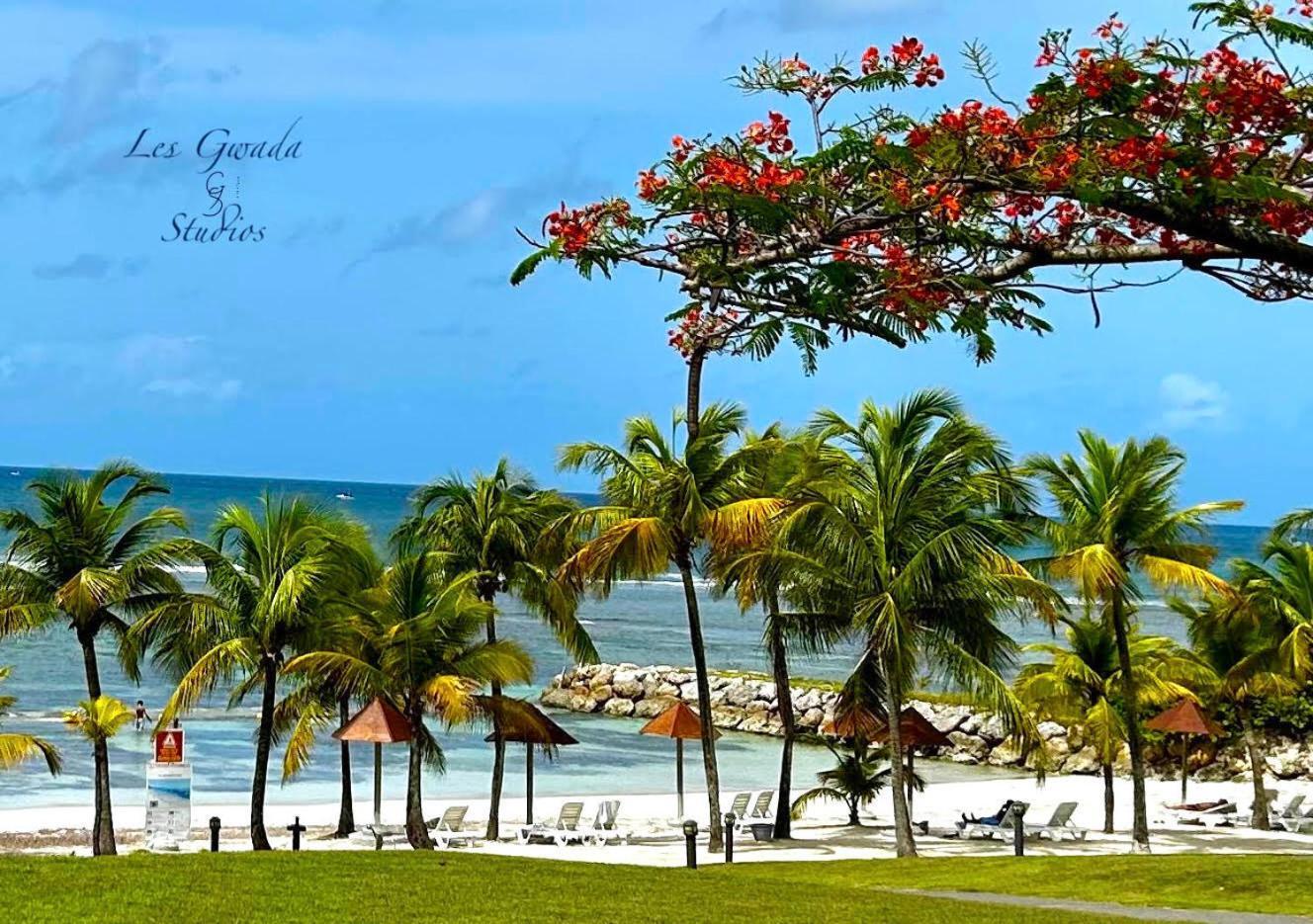 Vue Exclusive Mer Et Volcan, Village Vacances Avec Plage Et Piscine, Les Gwadastudios Sainte-Anne  Exterior photo