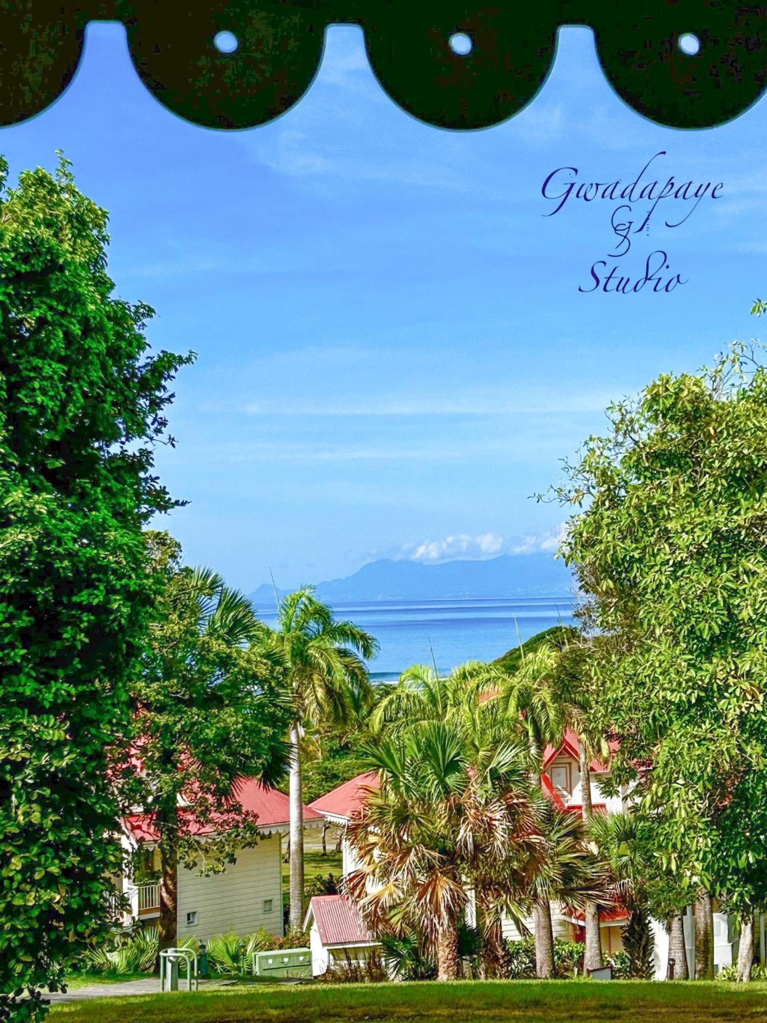 Vue Exclusive Mer Et Volcan, Village Vacances Avec Plage Et Piscine, Les Gwadastudios Sainte-Anne  Exterior photo